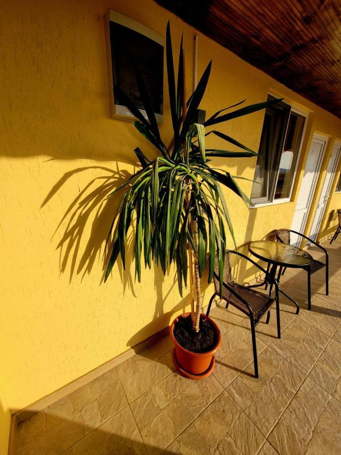 Cabana Varad Coronini Moldova Veche Eksteriør bilde