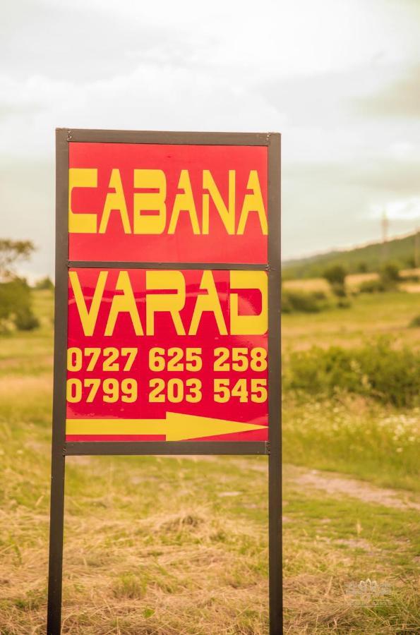Cabana Varad Coronini Moldova Veche Eksteriør bilde